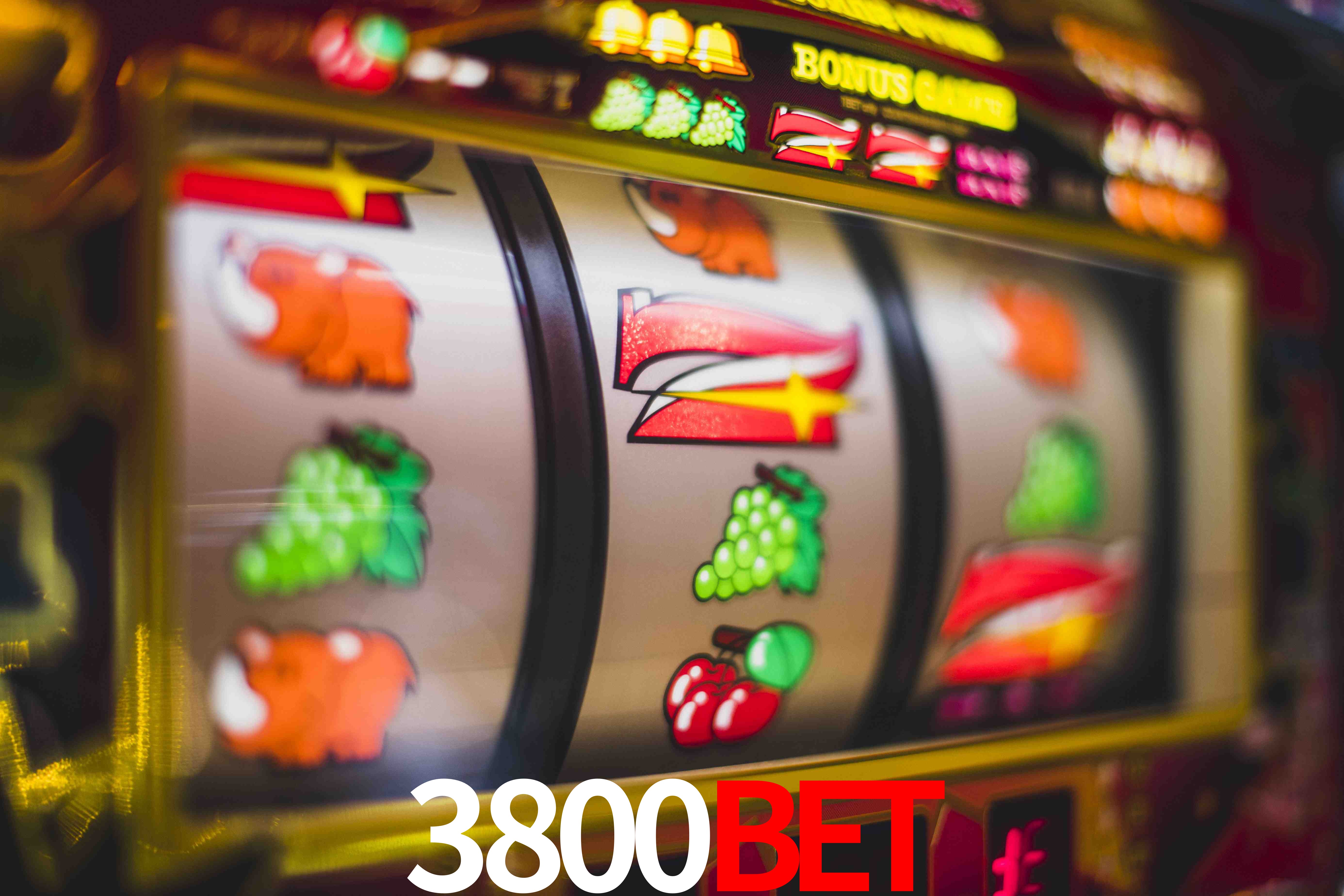 Statistics 3800bet